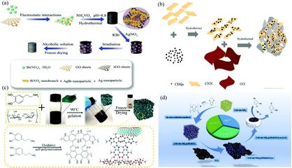 二維材料基氣凝膠的合成、功能調(diào)控及其在環(huán)境檢測(cè)和修復(fù)領(lǐng)域的應(yīng)用-納孚生物