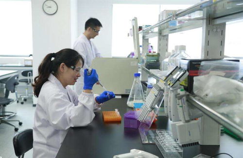 來凱醫(yī)藥沖刺港股ipo 全球生物制藥賽道成色幾何