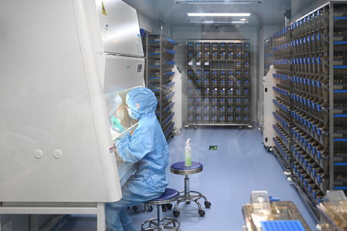 柳州市人民醫(yī)院實(shí)驗(yàn)動(dòng)物中心揭牌 開啟基礎(chǔ)科研新征程