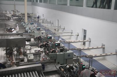 百城提質:以業興城的&ldquo;南樂實踐&rdquo;