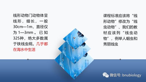 中學(xué)生物學(xué)課程目標由雙基走向核心素養(yǎng),在生物學(xué)課堂上我們該教給孩子們什么