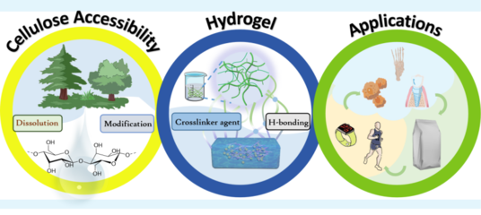 【學術進展】新疆農業大學李君副教授發表纖維素溶解、改性及材料調控的綜述